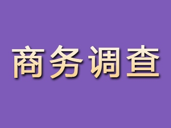 城步商务调查